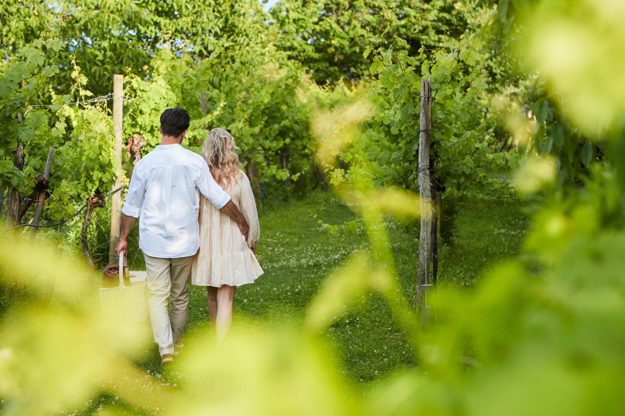 Steigenberger Hotel & Spa Krems Ngoại thất bức ảnh