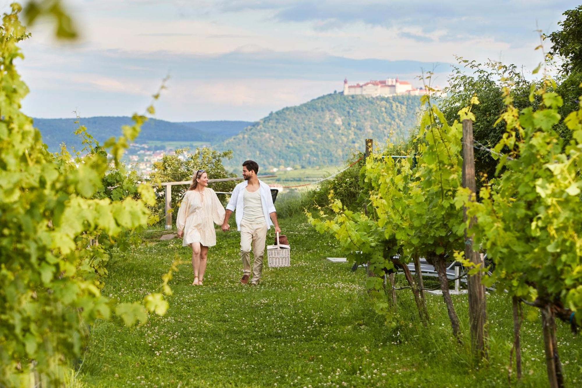 Steigenberger Hotel & Spa Krems Ngoại thất bức ảnh
